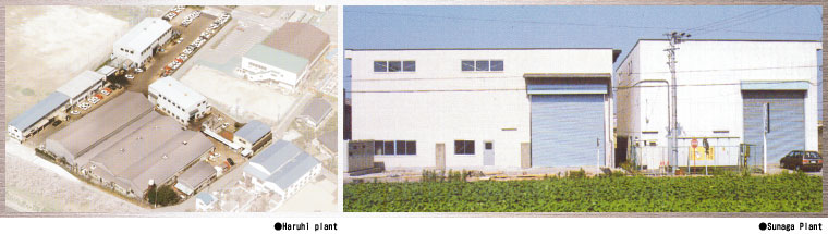 Haruhi Plant/Sunaga Plant